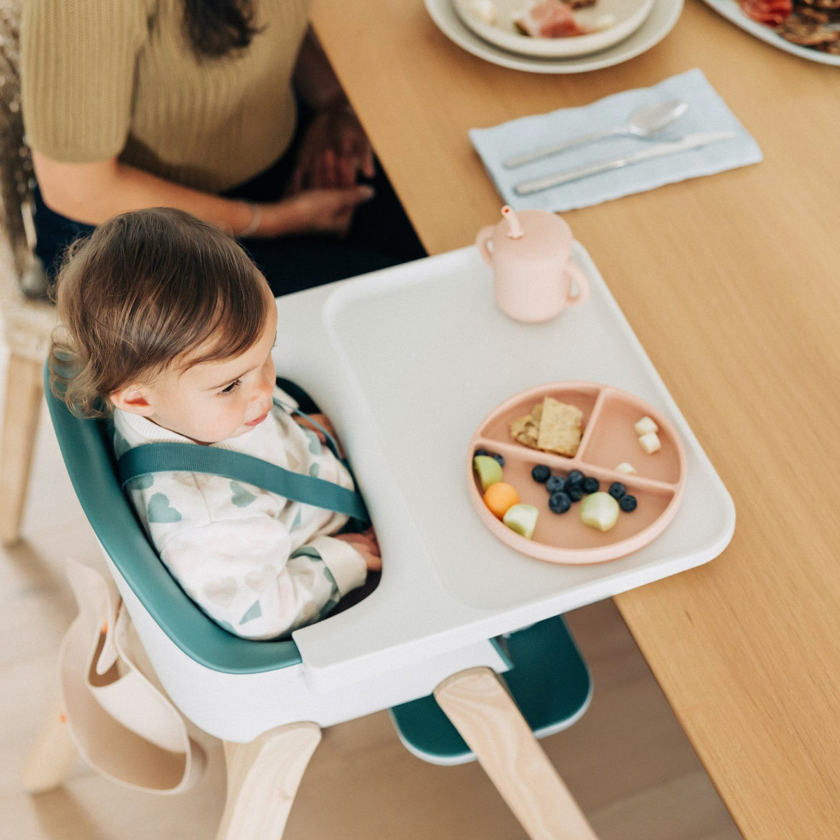 UPPAbaby Ciro High Chair - Kid's Stuff Superstore