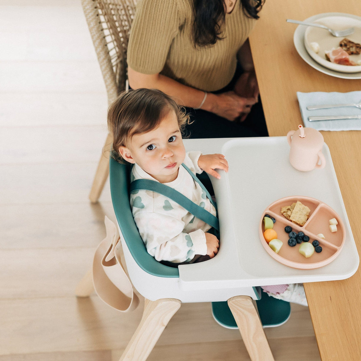 UPPAbaby Ciro High Chair - Kid's Stuff Superstore