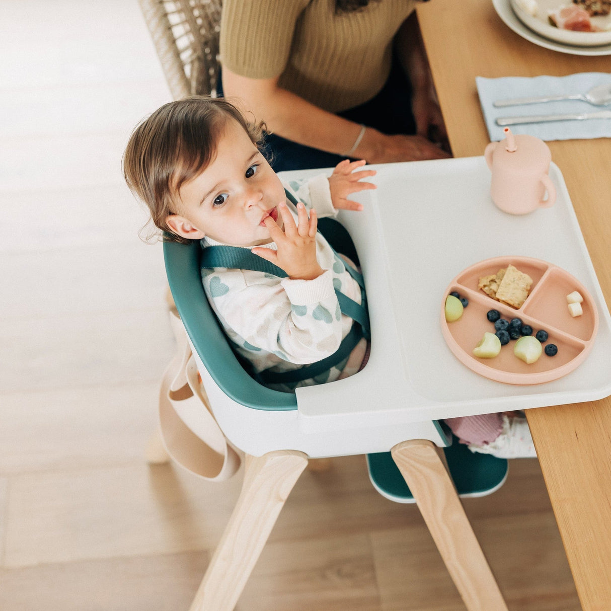 UPPAbaby Ciro High Chair - Kid's Stuff Superstore