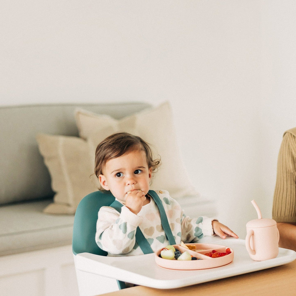 UPPAbaby Ciro High Chair - Kid's Stuff Superstore