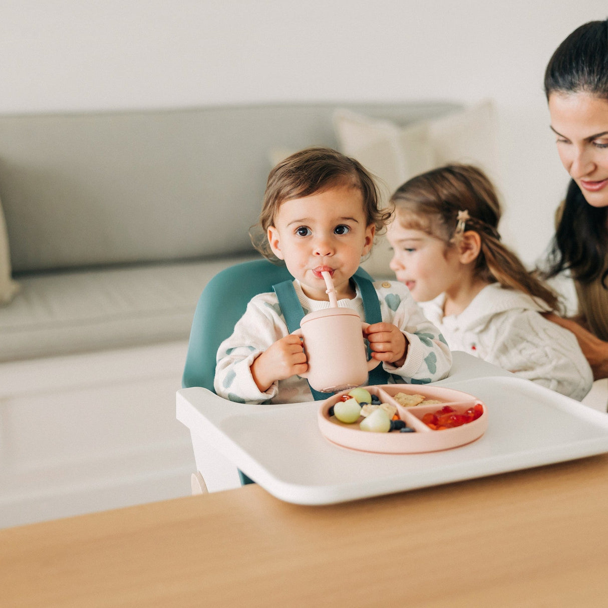 UPPAbaby Ciro High Chair - Kid's Stuff Superstore