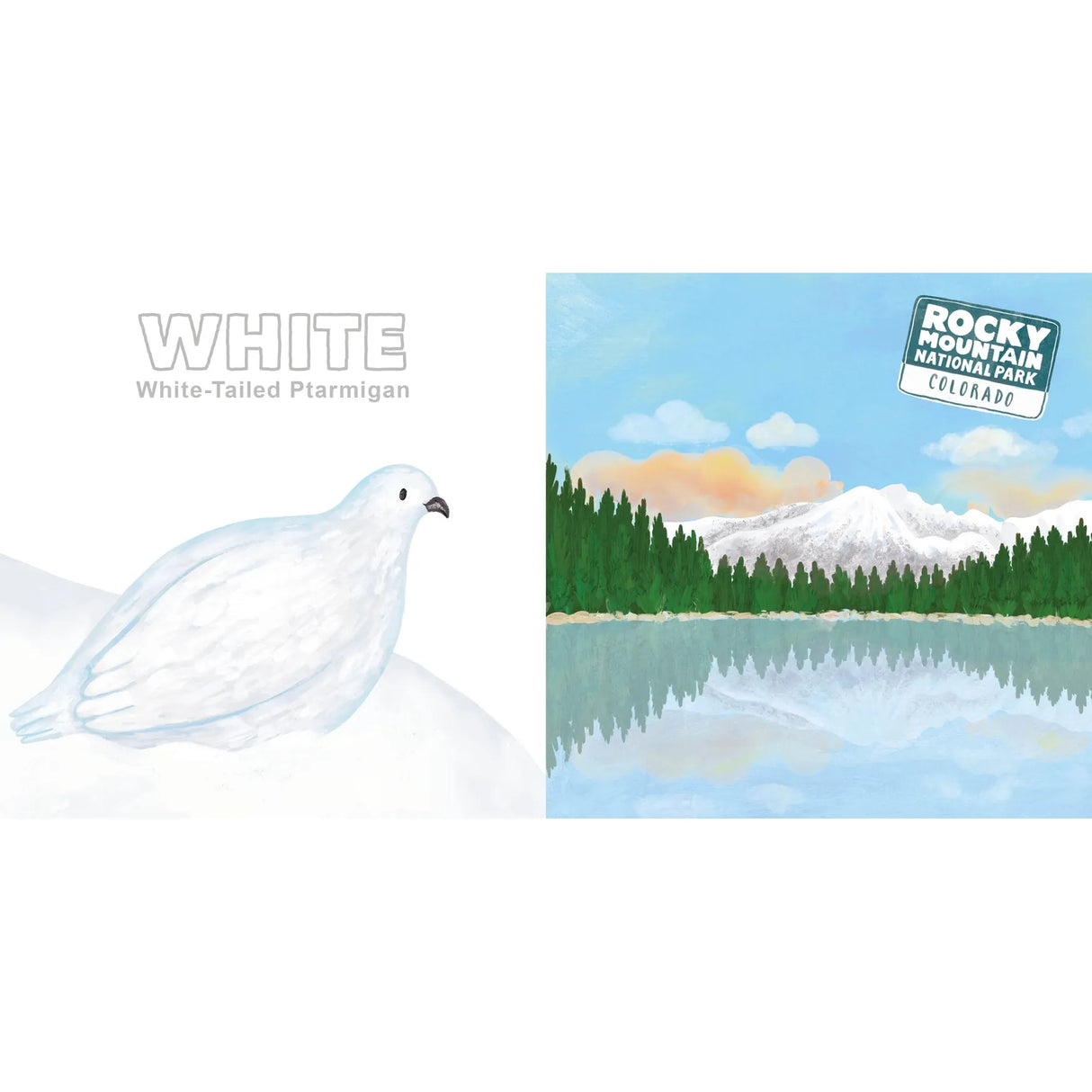 Board Book - Colors of the National Parks - Kid's Stuff Superstore