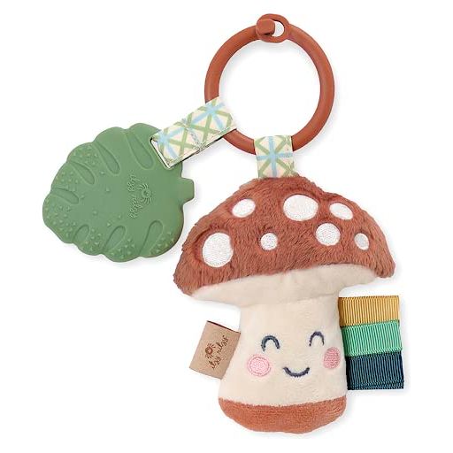 Itzy Ritzy Itzy Pal Teething Toy - Kid's Stuff Superstore