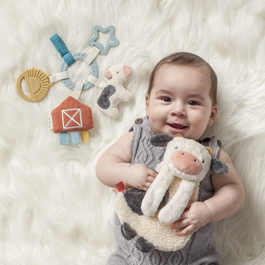 Itzy Ritzy Bitzy Busy Gift Set - Farm - Kid's Stuff Superstore