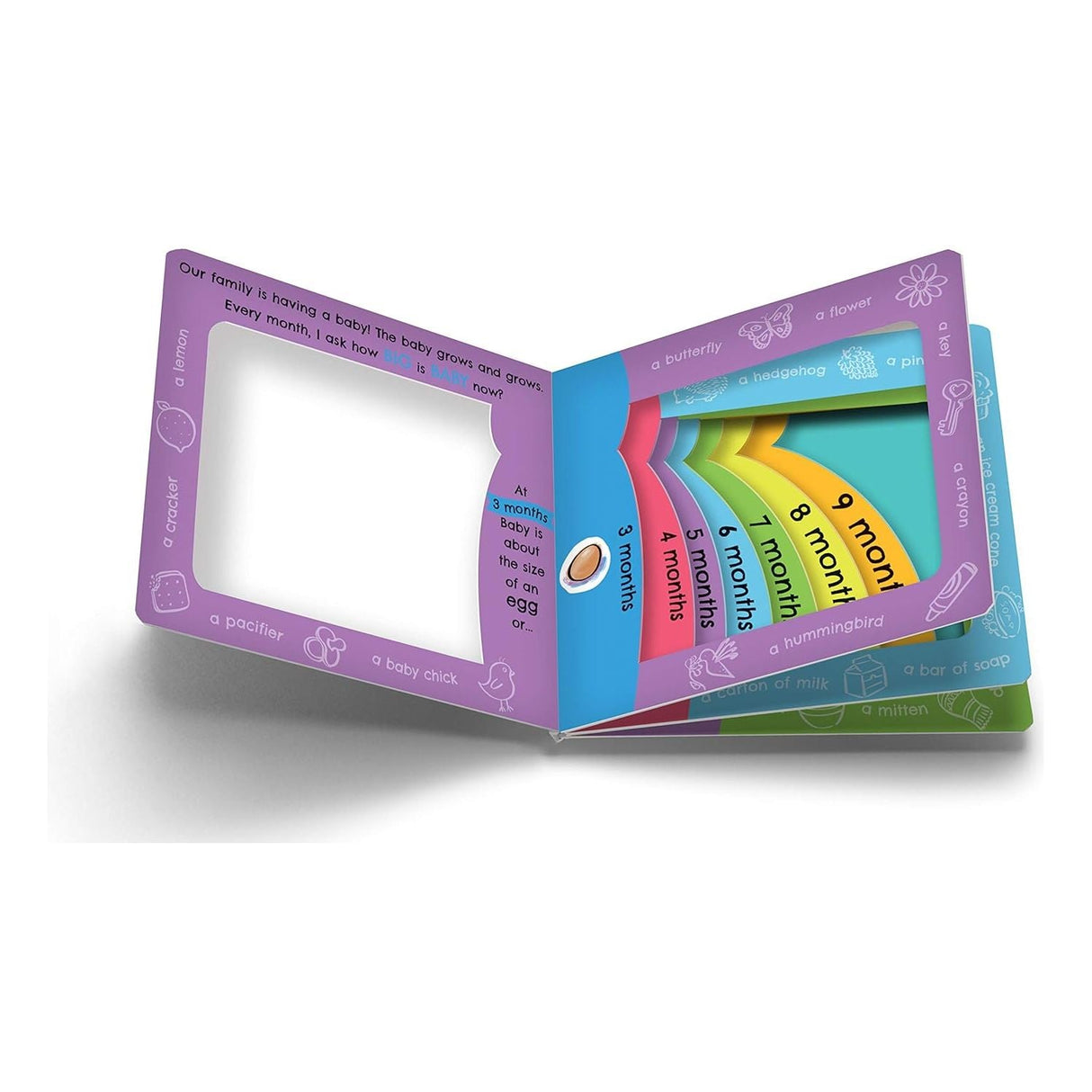 Board Book - How Big is Baby Now? - Kid's Stuff Superstore