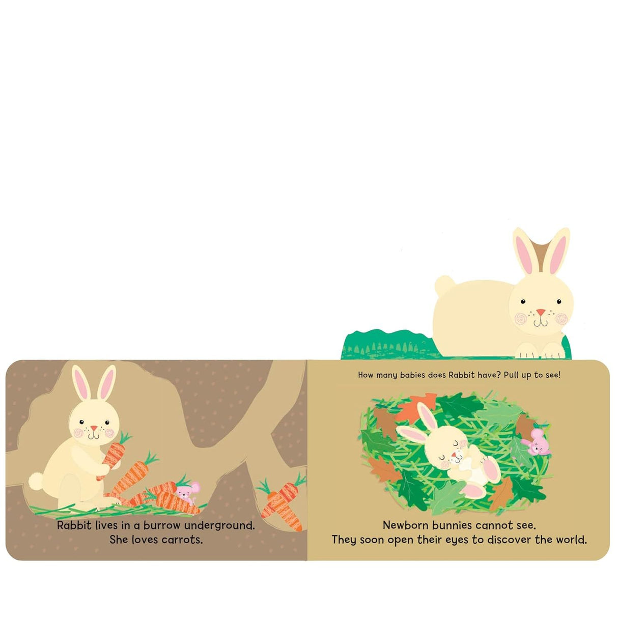 Board Book - Woodland Babies - Kid's Stuff Superstore