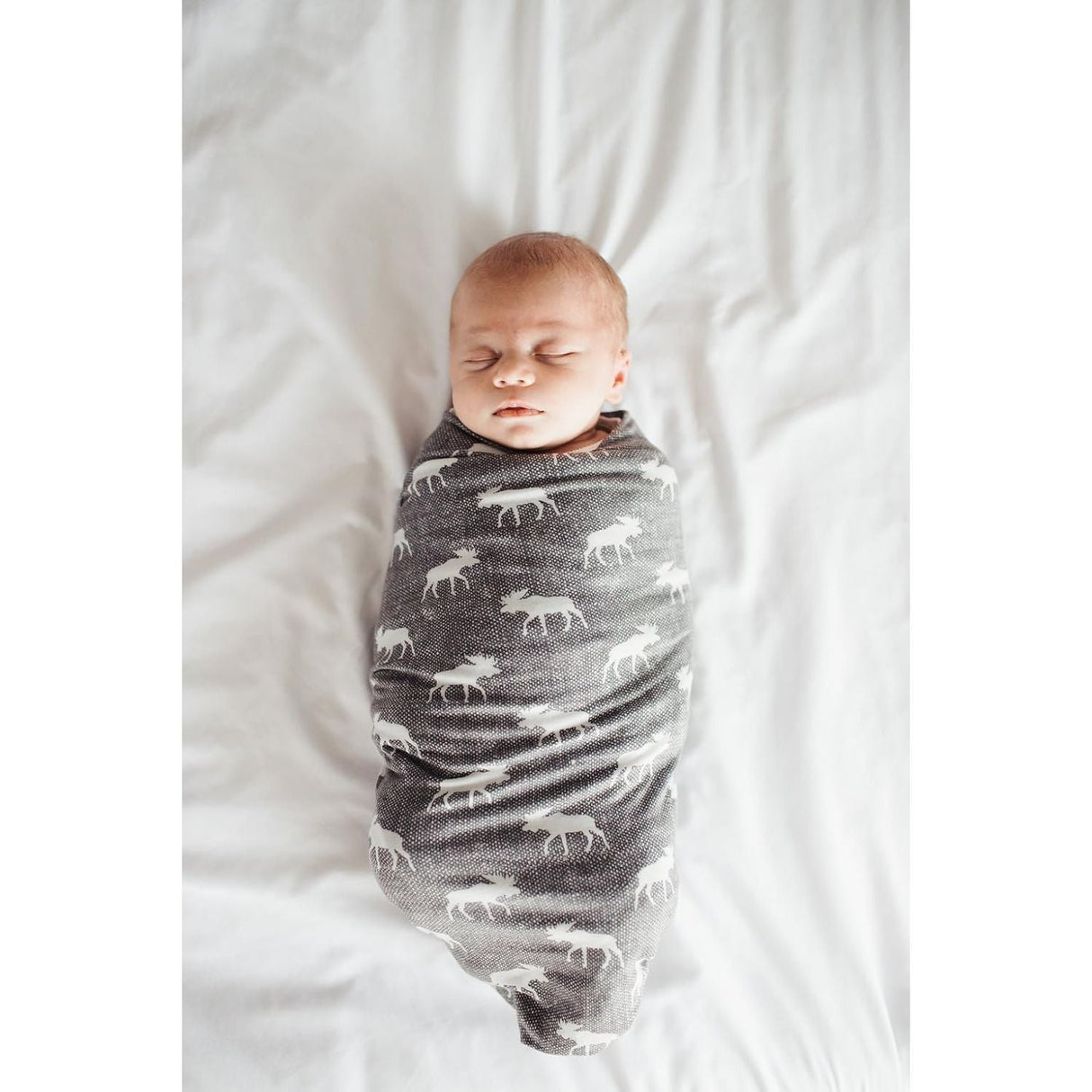 Copper Pearl Swaddle Blanket - Scout - Kid's Stuff Superstore