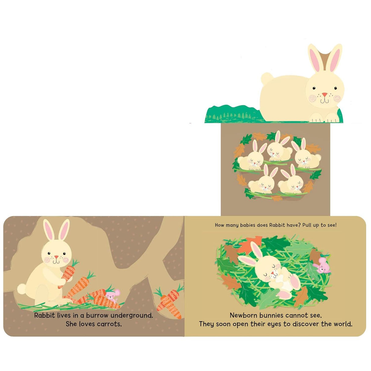 Board Book - Woodland Babies - Kid's Stuff Superstore