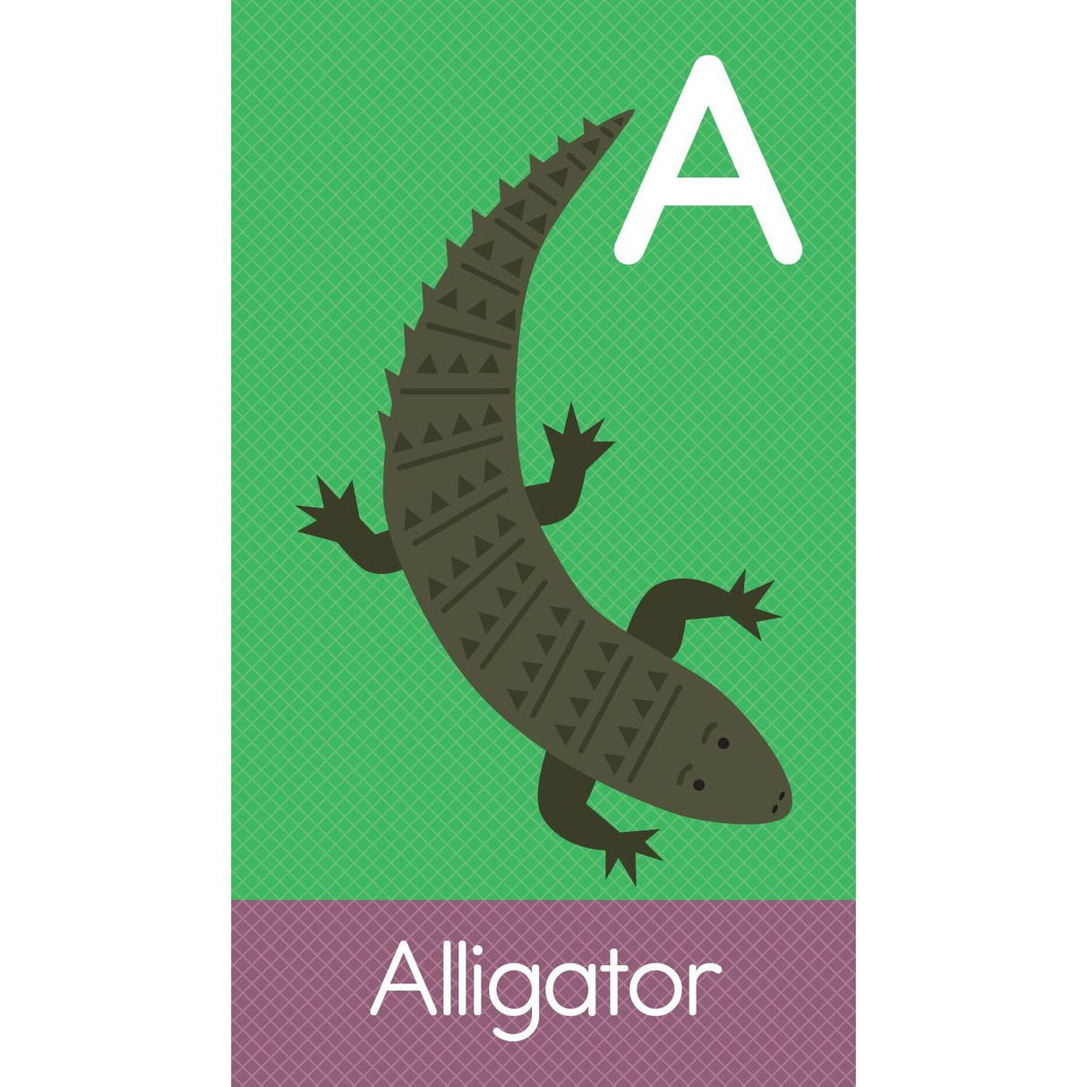 ABC Animals SmartFlash Cards - Kid's Stuff Superstore