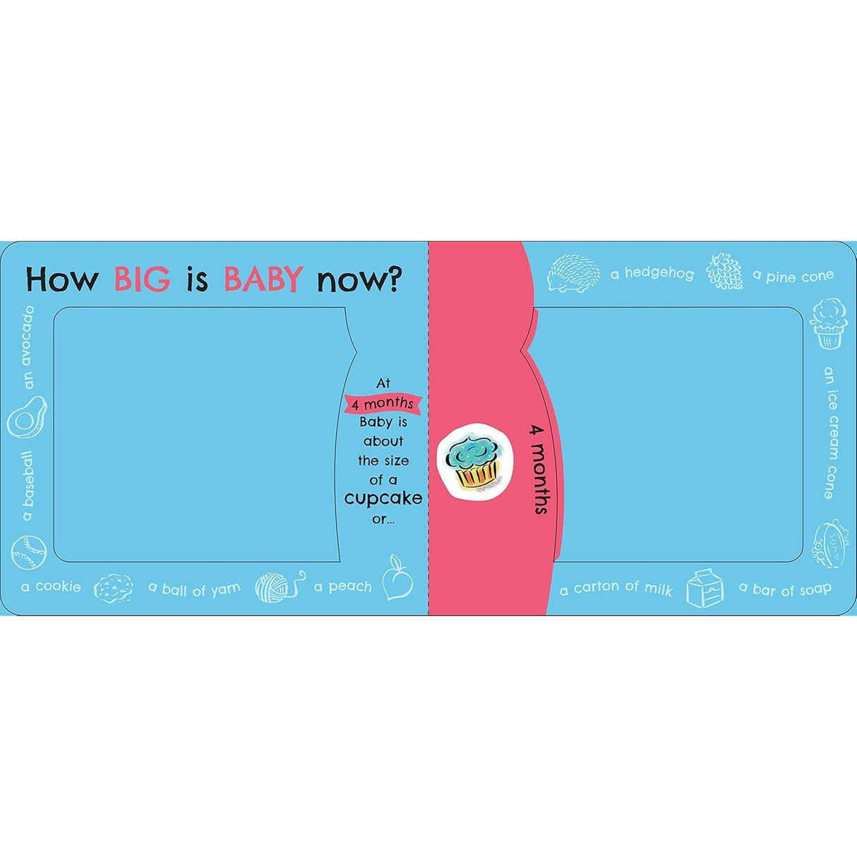 Board Book - How Big is Baby Now? - Kid's Stuff Superstore