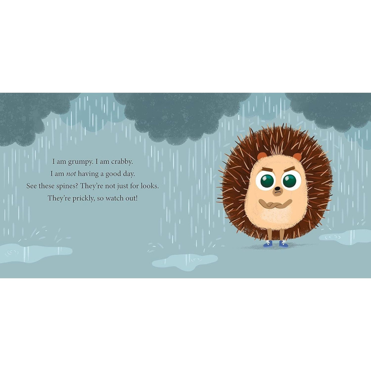 Hardcover Book - Always So Grumpy - Kid's Stuff Superstore