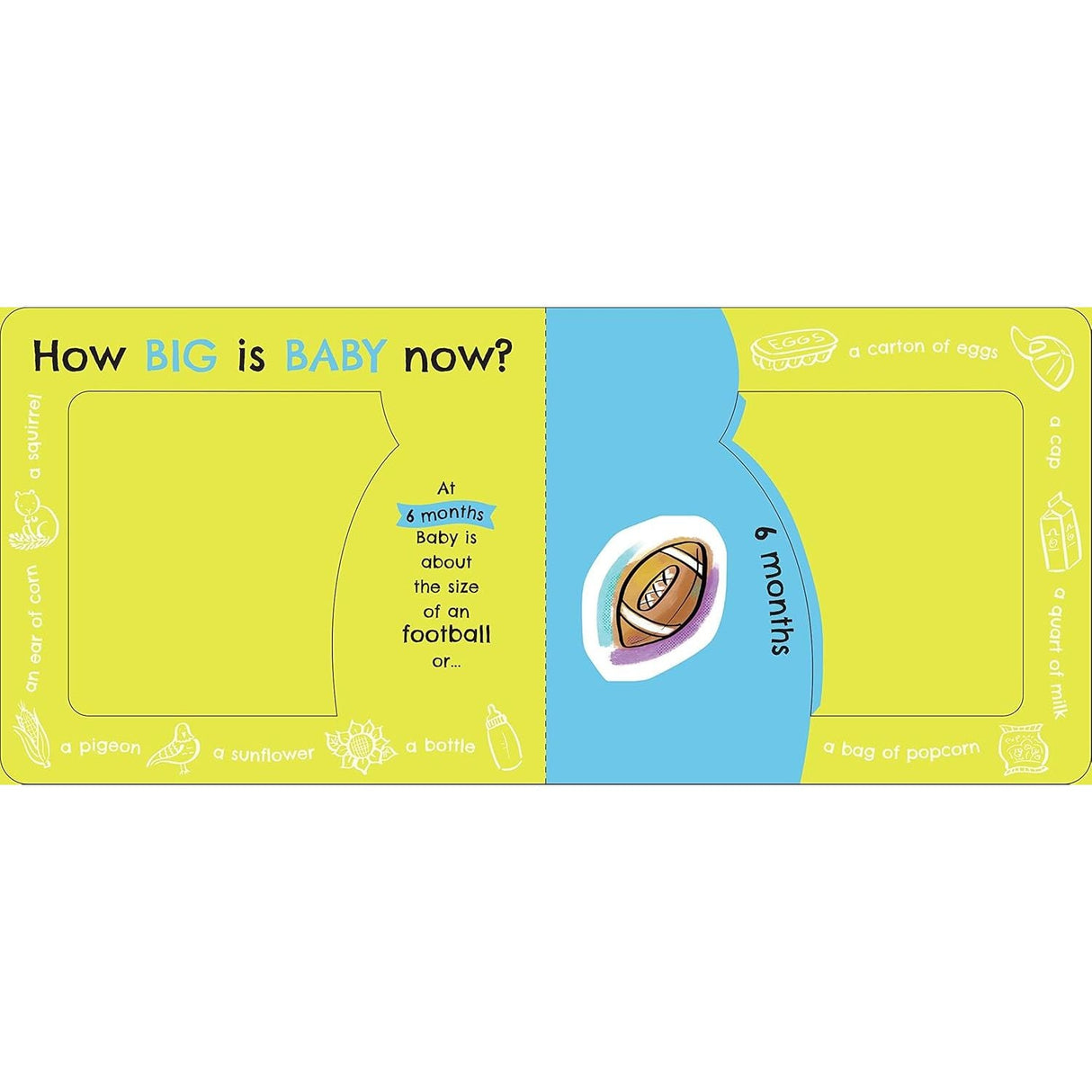 Board Book - How Big is Baby Now? - Kid's Stuff Superstore