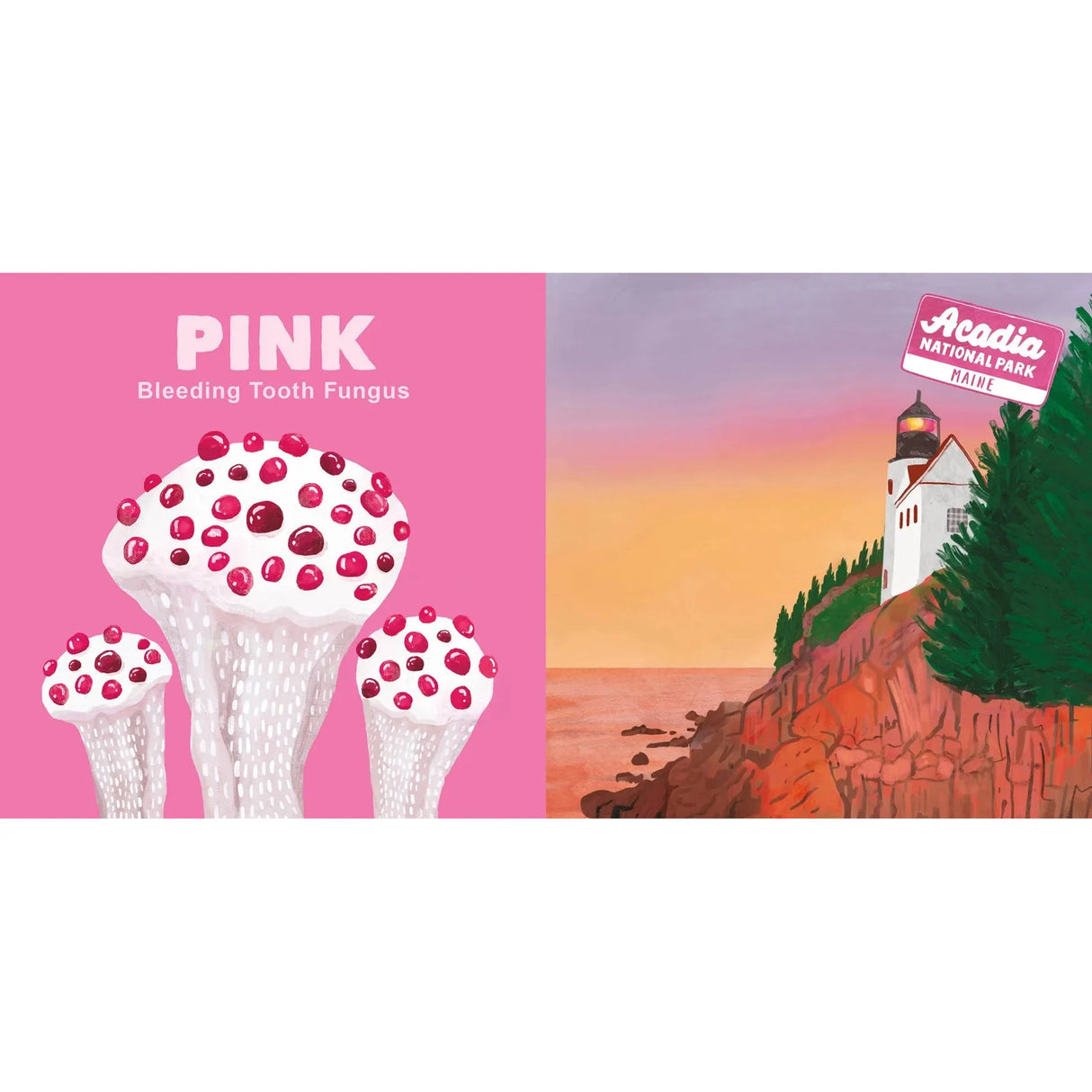 Board Book - Colors of the National Parks - Kid's Stuff Superstore