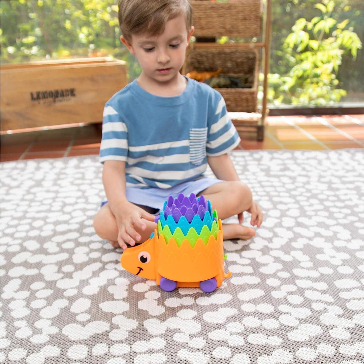 Fat Brain Toys - Hiding Hedgehogs - Kid's Stuff Superstore