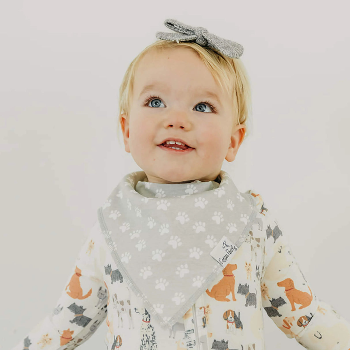 Copper Pearl Baby Bandana Bibs 4 Pack - Rufus