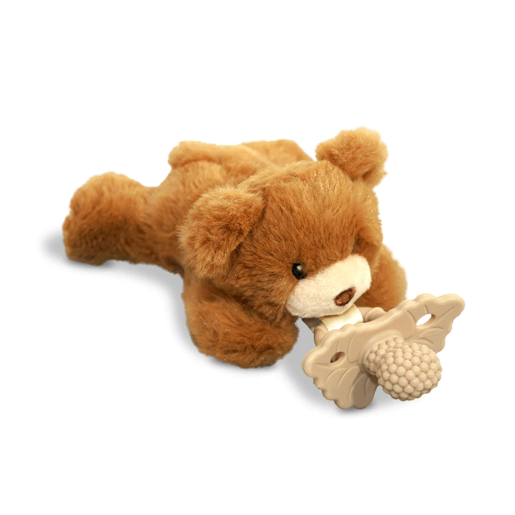 RaZ Pacifier Holder - Bobby Bear - Kid's Stuff Superstore