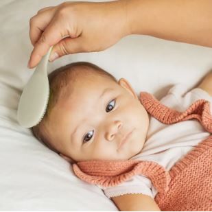 Green Sprouts Cradle Cap Brush & Comb - Kid's Stuff Superstore