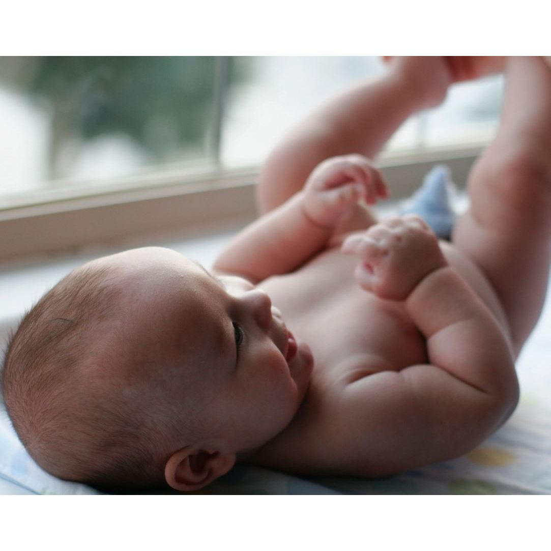 Pee Pee Teepee 5 pack - Eggs & Bacon