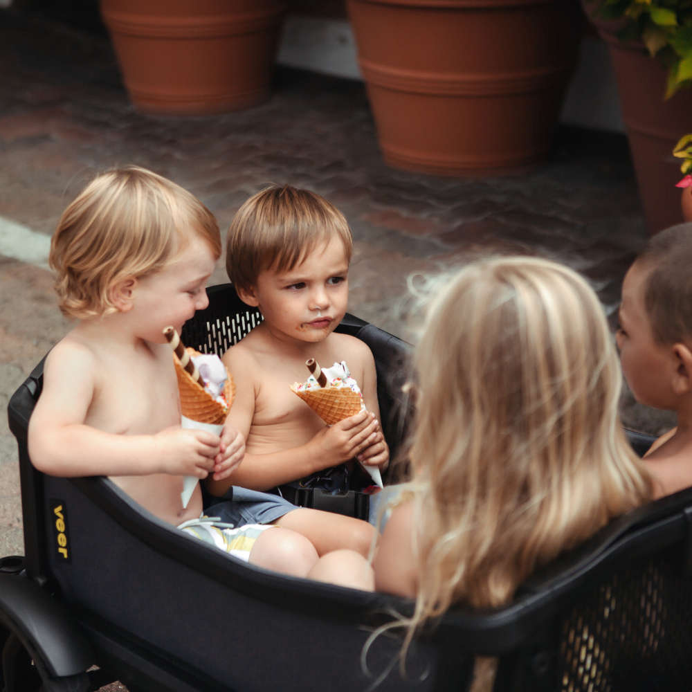 Veer Cruiser XL All-Terrain Wagon - Kid's Stuff Superstore