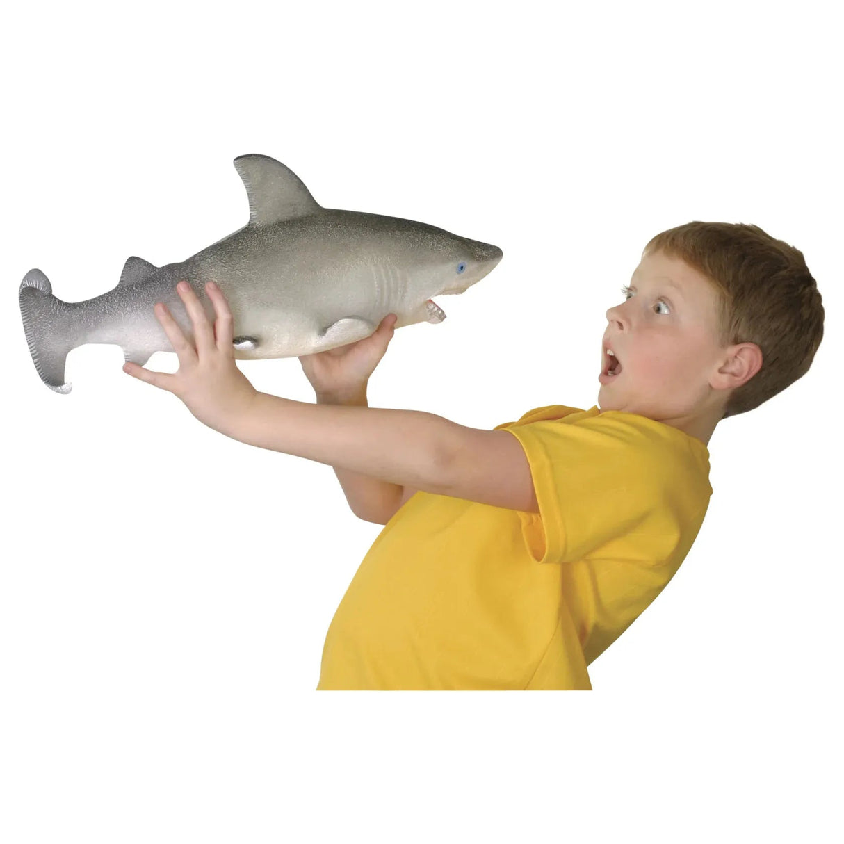 Toysmith Ginormous Grow Shark - Kid's Stuff Superstore