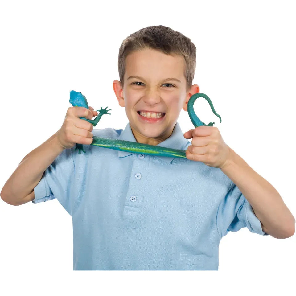 Toysmith Lizard Squishimals Pack of 1 - Kid's Stuff Superstore