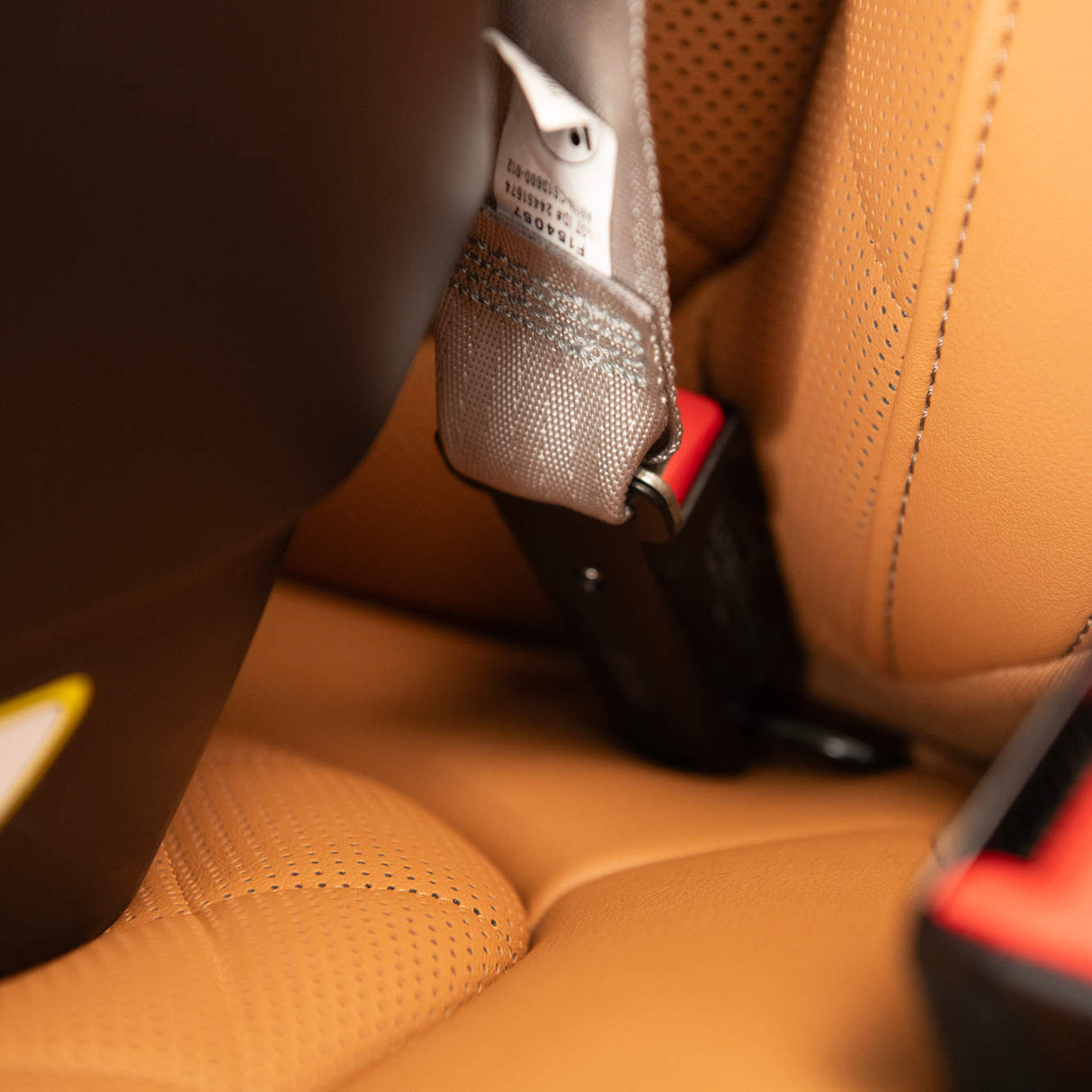 Nuna LUMN Harness Booster Seat - Kid's Stuff Superstore