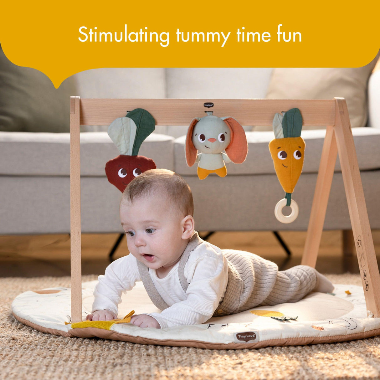 Tiny Love Luxe Developmental Gymini | Garden of Adventures - Kid's Stuff Superstore