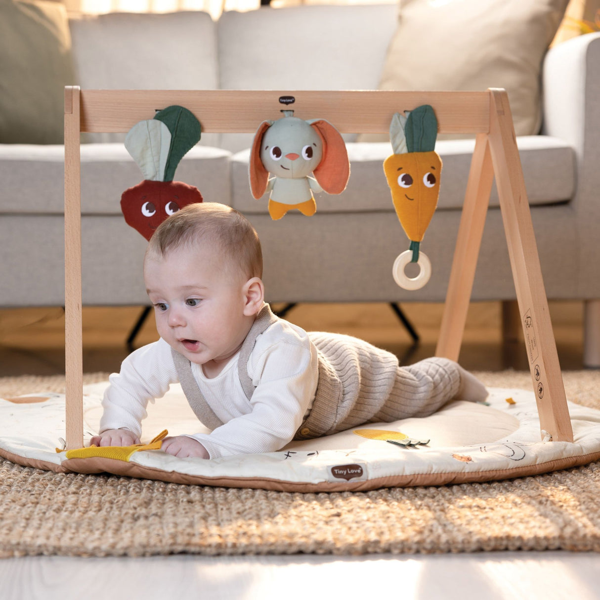 Tiny Love Luxe Developmental Gymini | Garden of Adventures - Kid's Stuff Superstore