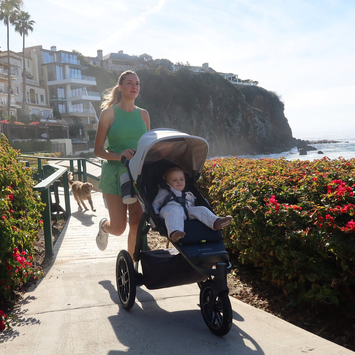 UPPAbaby Ridge V2 All-Terrain Stroller - Kid's Stuff Superstore