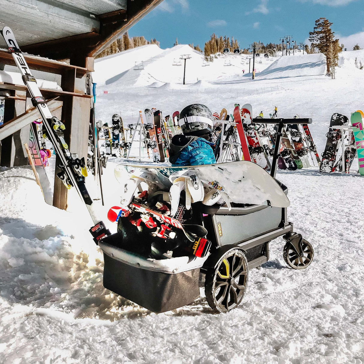 Veer Cruiser + FREE Foldable Storage Basket! - Kid's Stuff Superstore