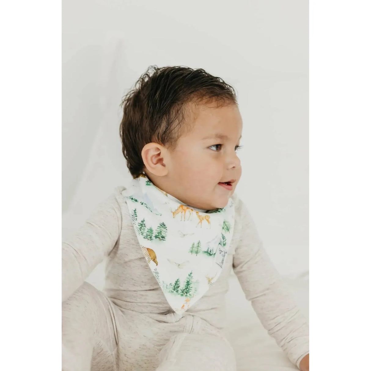 Copper Pearl Baby Bandana Bibs 4 Pack - Grayson - Kid's Stuff Superstore