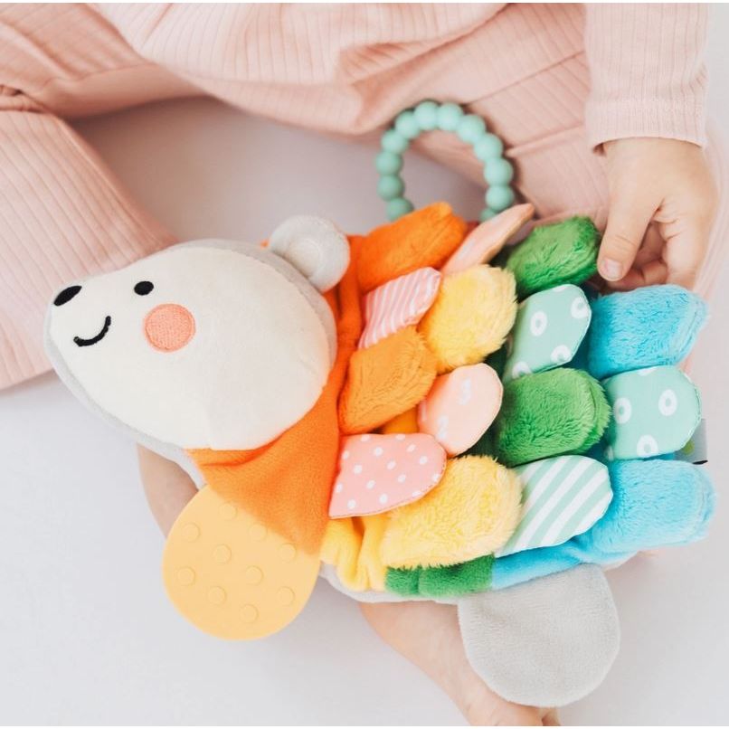 Pearhead Hedgie Snuggly Sensory and Learning Toy