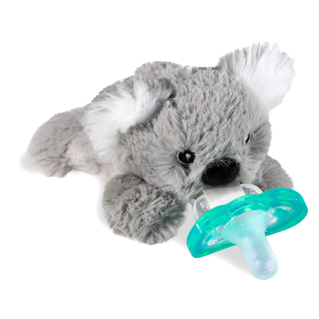 RaZ Pacifier Holder - Kiki Koala - Kid's Stuff Superstore