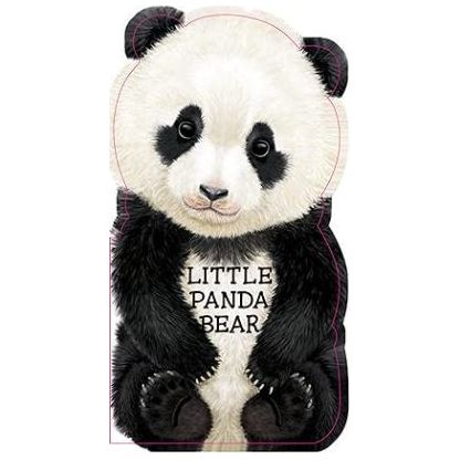 Little Panda Bear - Kid's Stuff Superstore