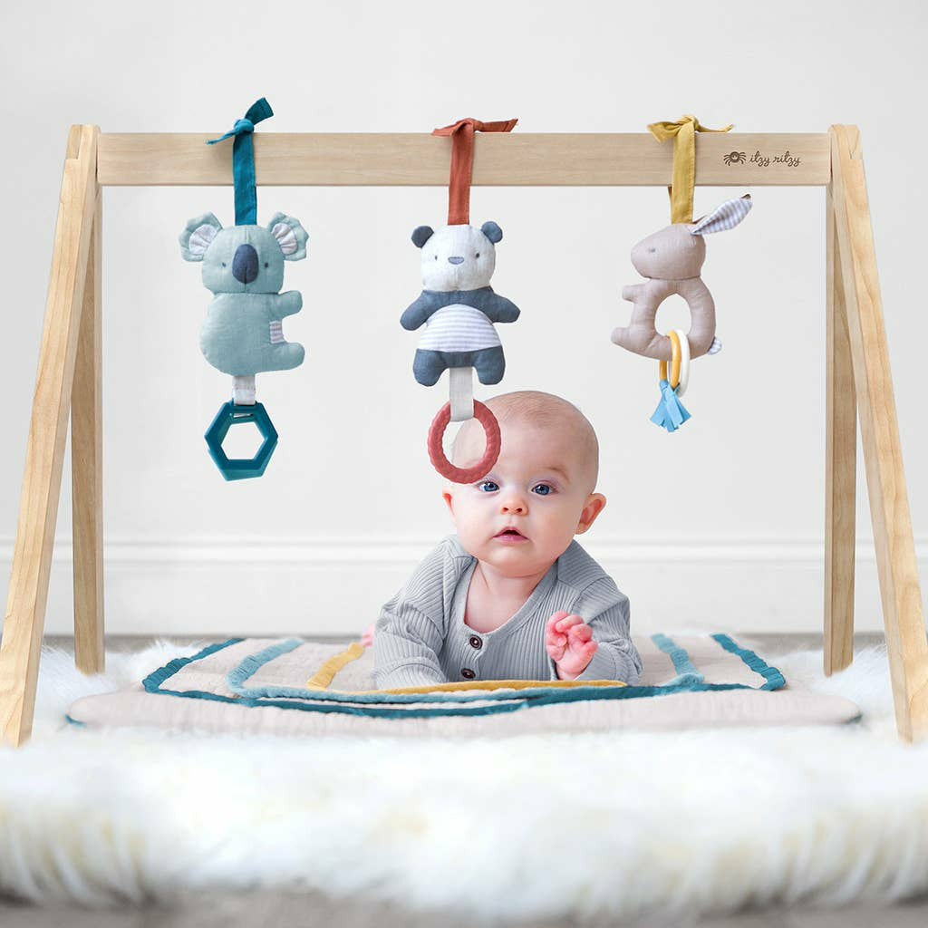 Ritzy Activity Gym - Kid's Stuff Superstore