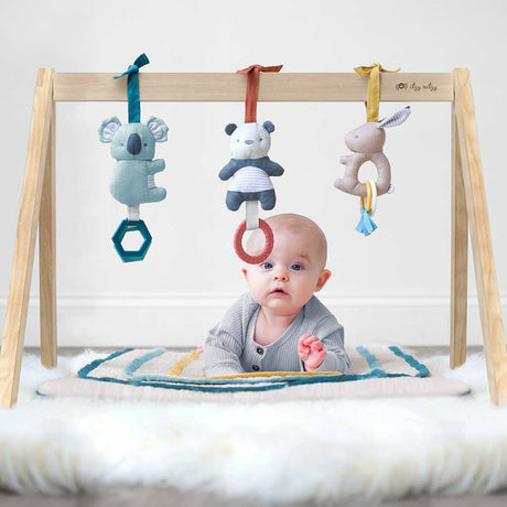 Ritzy Activity Gym - Kid's Stuff Superstore