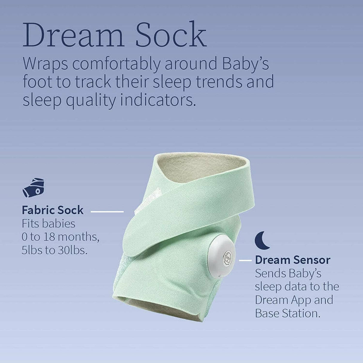 Owlet Dream Duo Sock Monitor System - Kid's Stuff Superstore