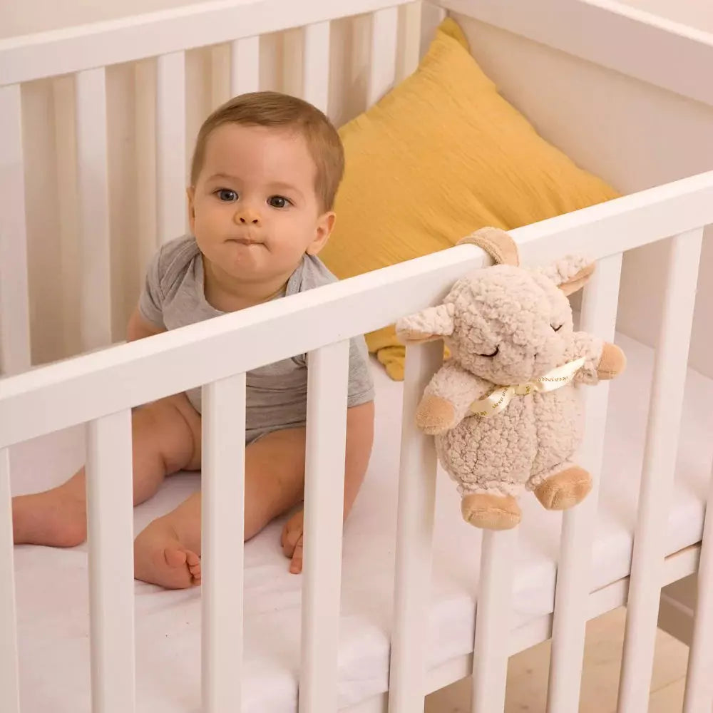 cloud.b Sound Machine - Sleep Sheep On the Go - Kid's Stuff Superstore