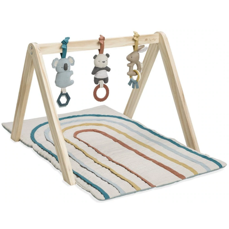Ritzy Activity Gym - Kid's Stuff Superstore