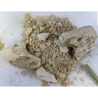 Shark Fossils - Kid's Stuff Superstore