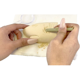 Shark Fossils - Kid's Stuff Superstore