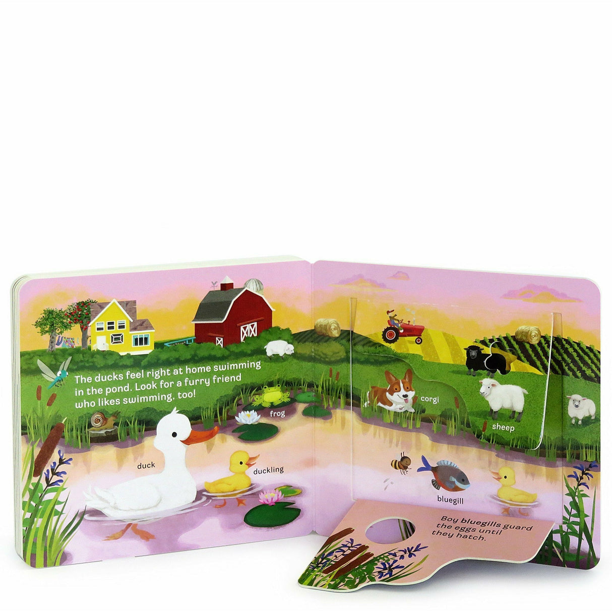 Peek-a-Flap Book, MOO - Kid's Stuff Superstore