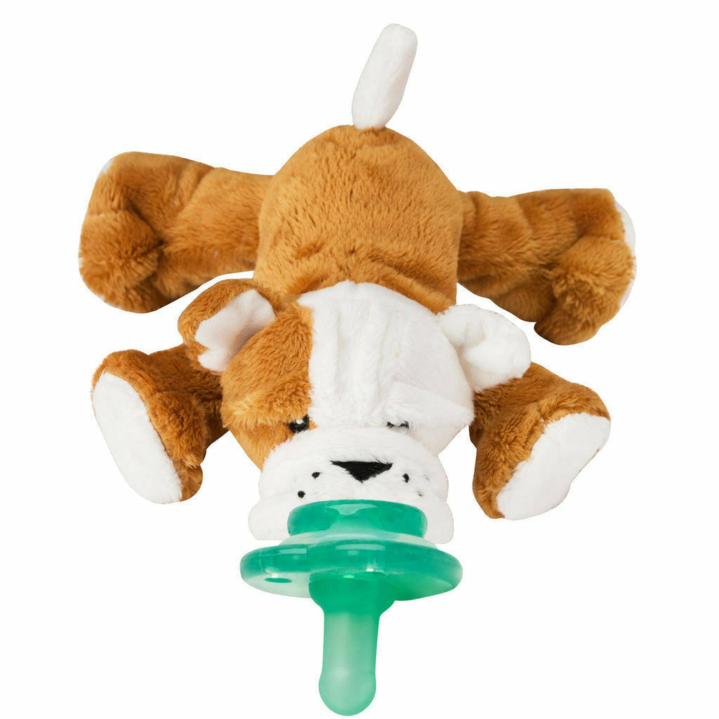 Nookums Paci-Plushies - Shakies - Kid's Stuff Superstore