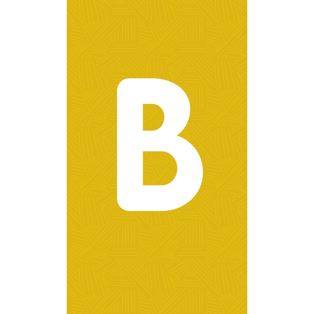 ABC Animals SmartFlash Cards - Kid's Stuff Superstore