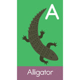 ABC Animals SmartFlash Cards - Kid's Stuff Superstore
