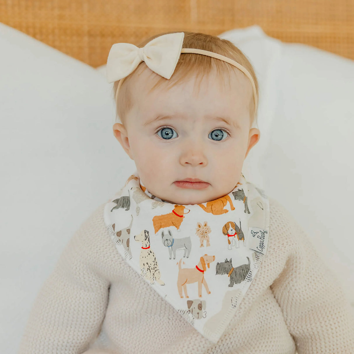 Copper Pearl Baby Bandana Bibs 4 Pack - Rufus