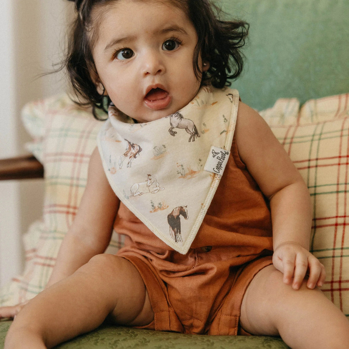 Copper Pearl Baby Bandana Bibs 4 Pack - Cheyenne - Kid's Stuff Superstore