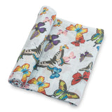 LollyBanks Muslin Swaddle Blanket - Butterfly - Kid's Stuff Superstore