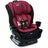 Britax Poplar S Convertible 2-in-1 Car Seat with ClickTight - Kid's Stuff Superstore