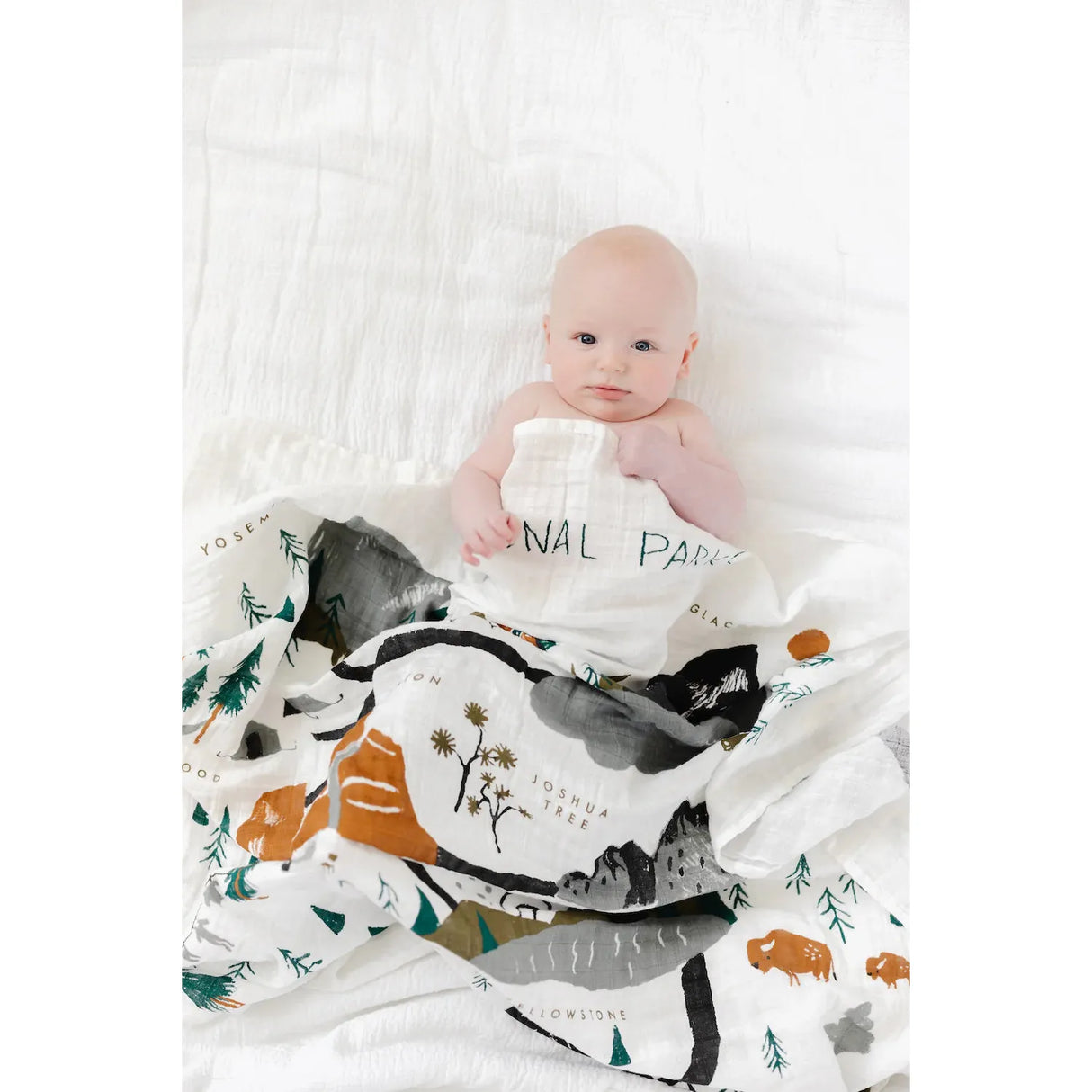 Clementine Kids Swaddle Blanket - National Parks - Kid's Stuff Superstore